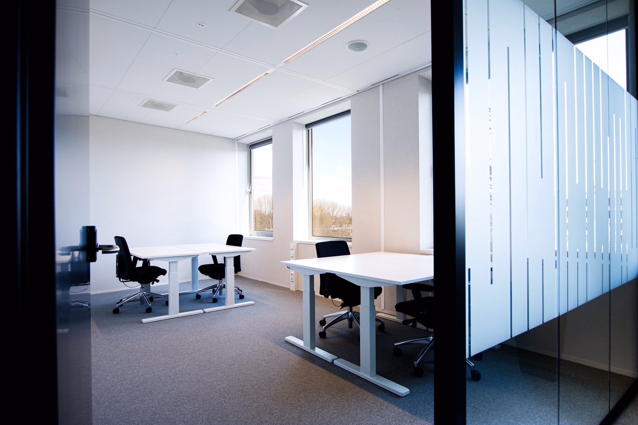 RinacoTrade Office